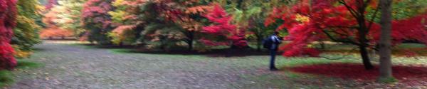 Autumn Newsletter