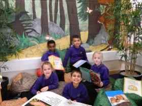 New Library Books for Millbrook Primary School