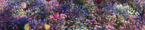 May 2016 - Community supports 2 grant applications